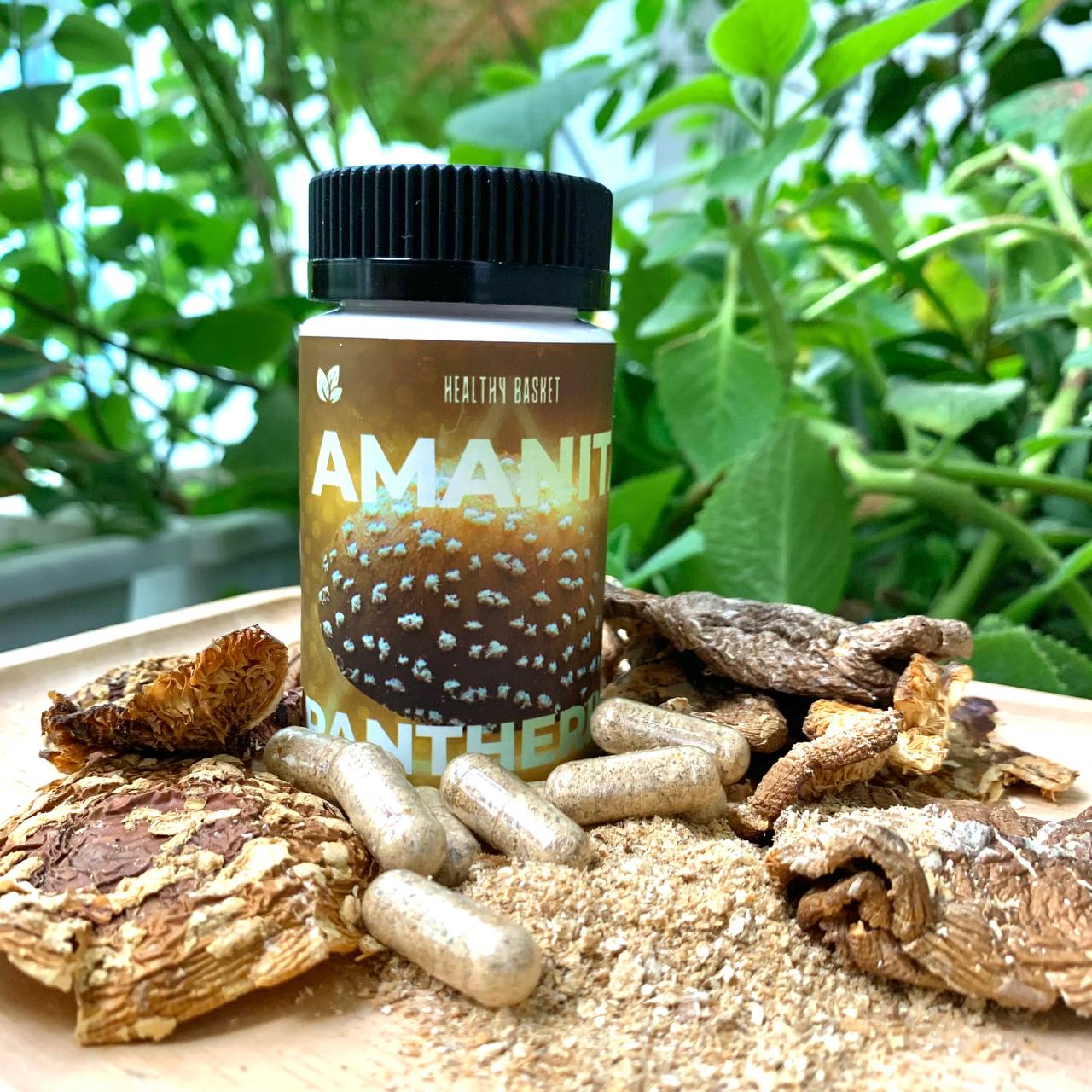 Amanita Pantherina